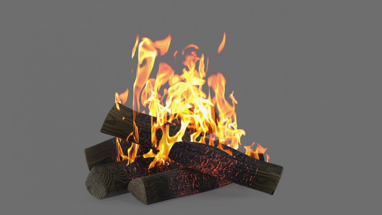 3D model Bonfire Burning