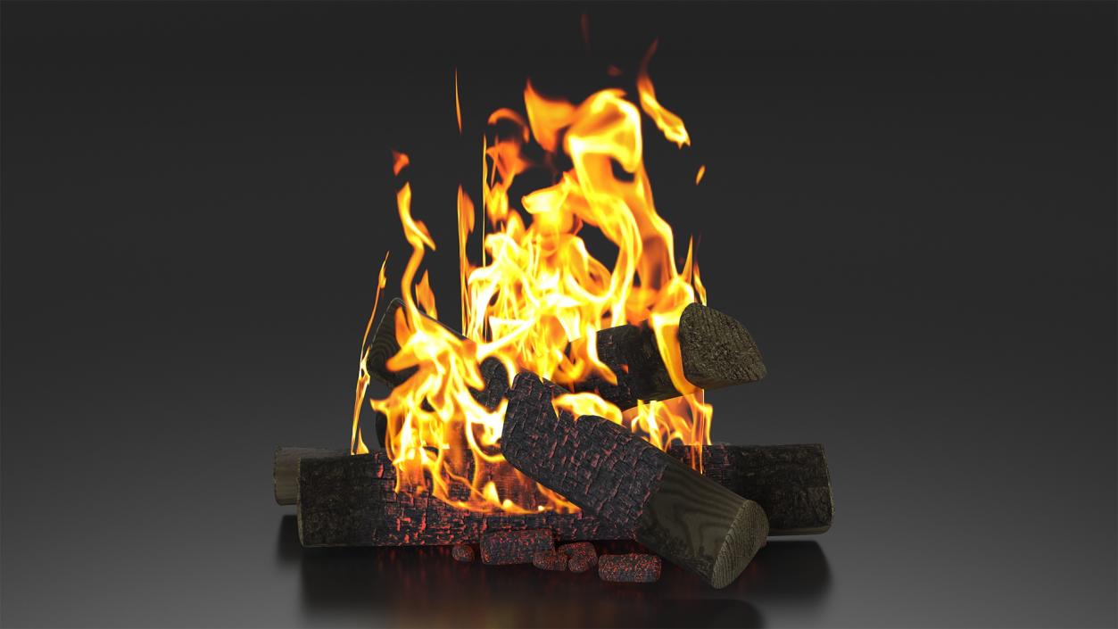 3D model Bonfire Burning