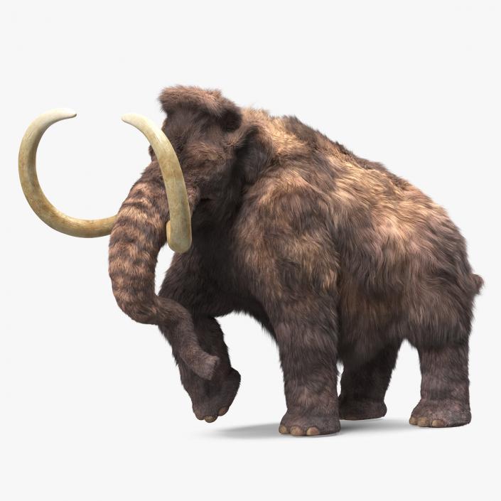 3D model Mammoth Adult Walking Pose Fur