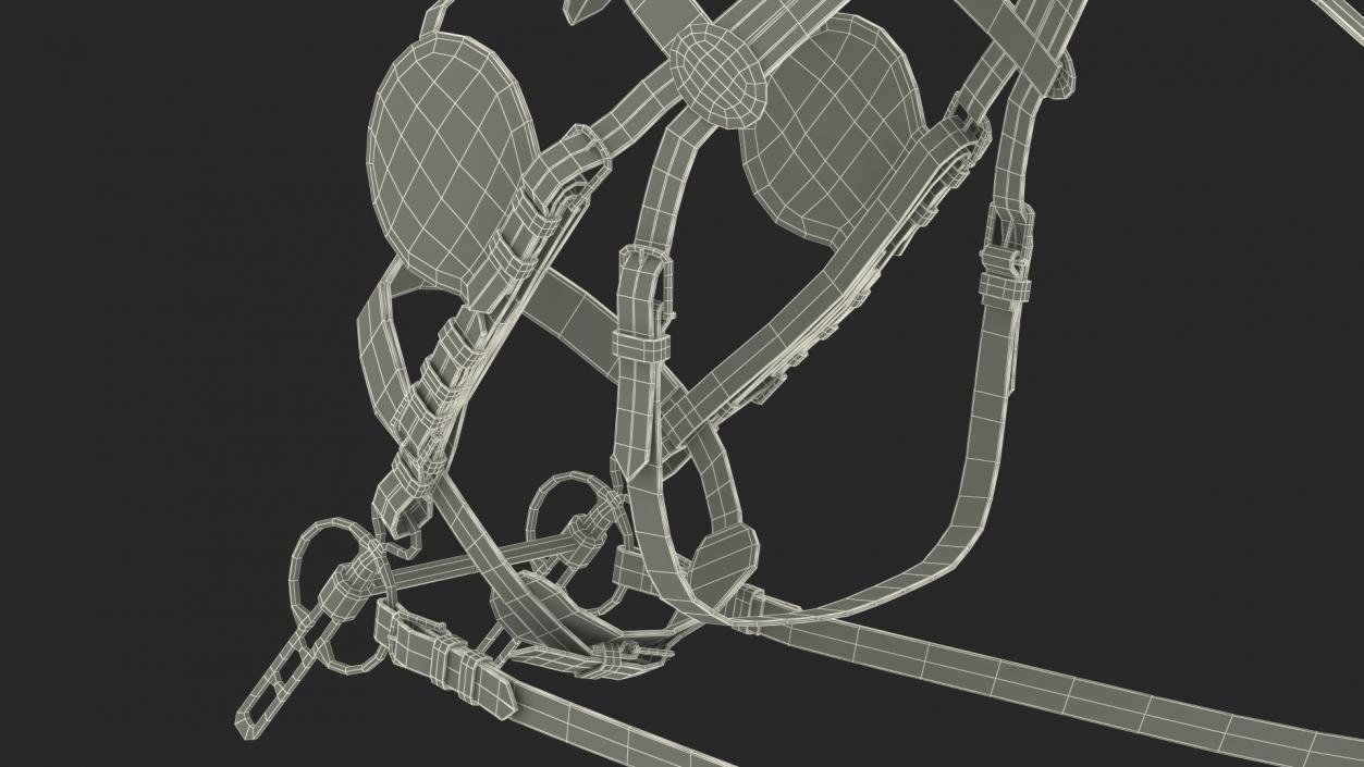 3D model Pair of Harness