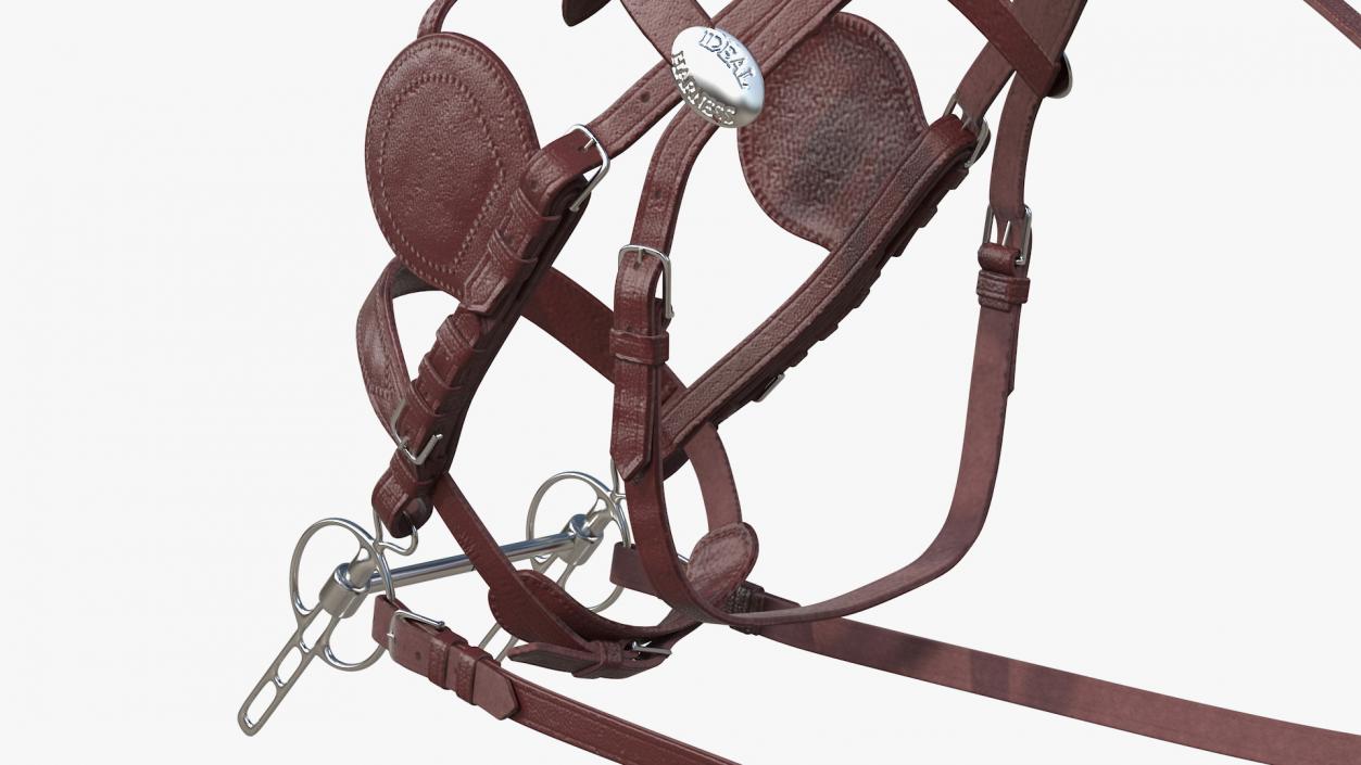 3D model Pair of Harness