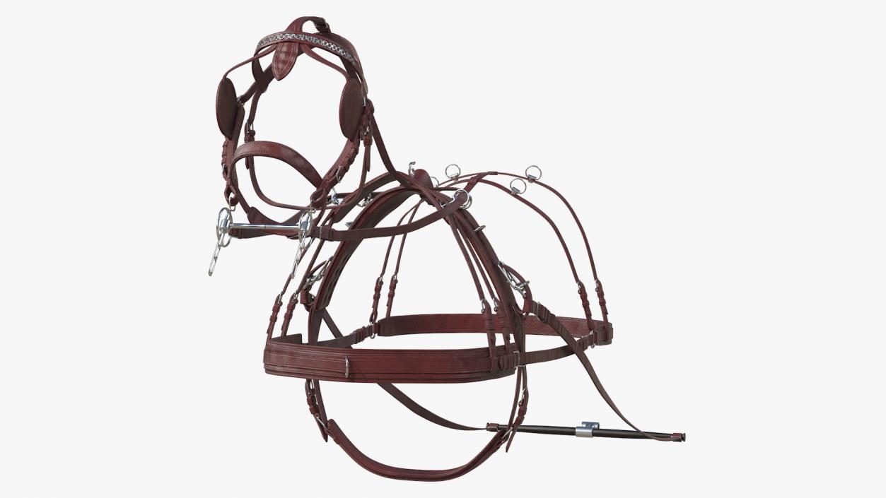 3D model Pair of Harness