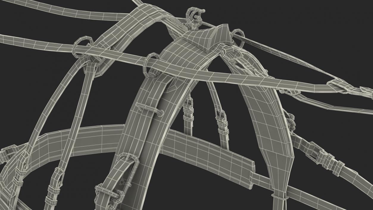 3D model Pair of Harness