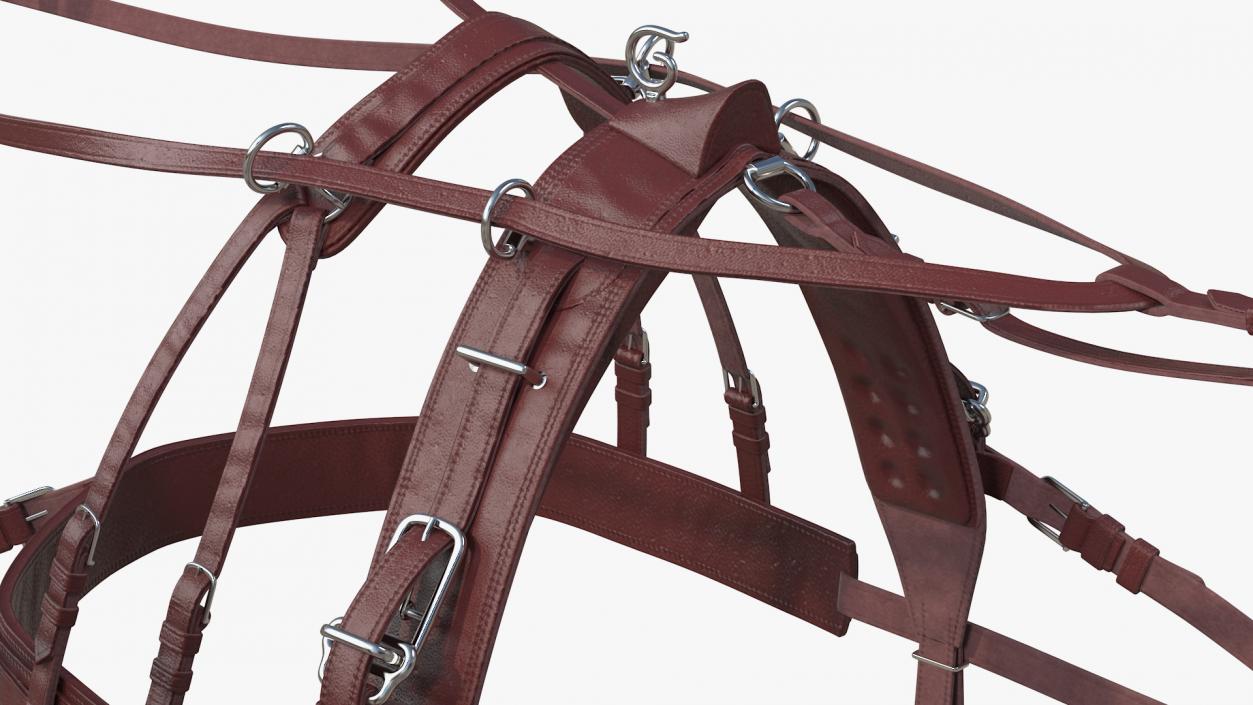 3D model Pair of Harness