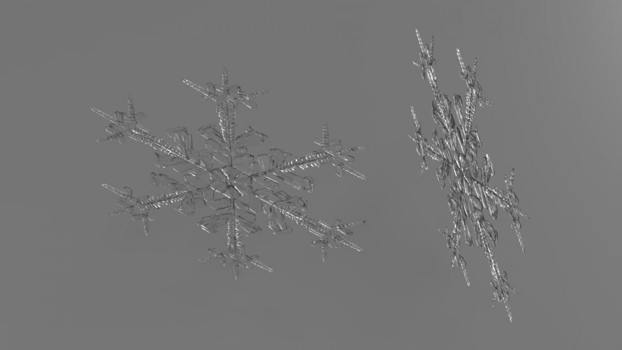 Intricate Snowflake 3D model