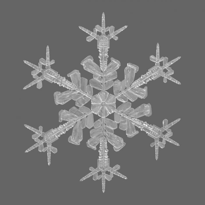 Intricate Snowflake 3D model