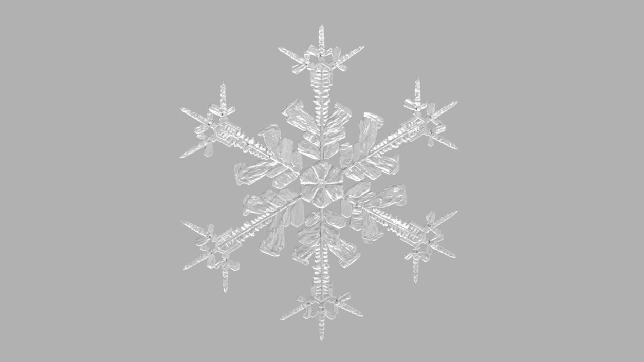 Intricate Snowflake 3D model