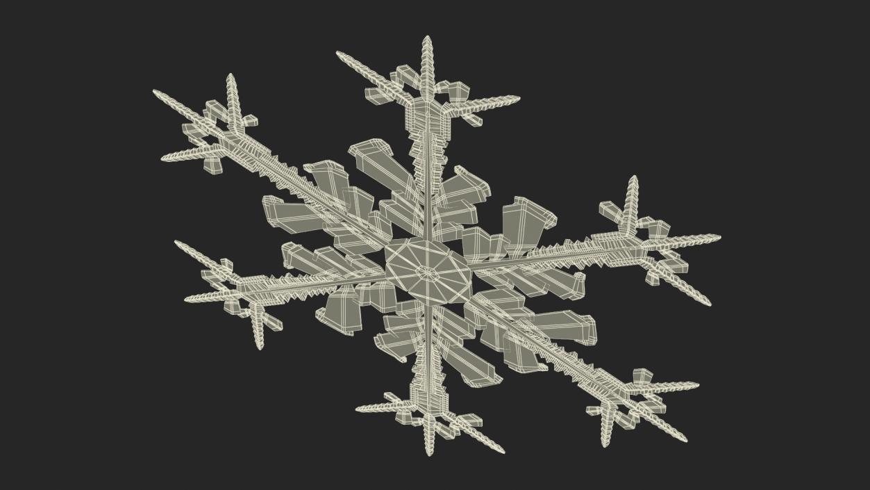 Intricate Snowflake 3D model