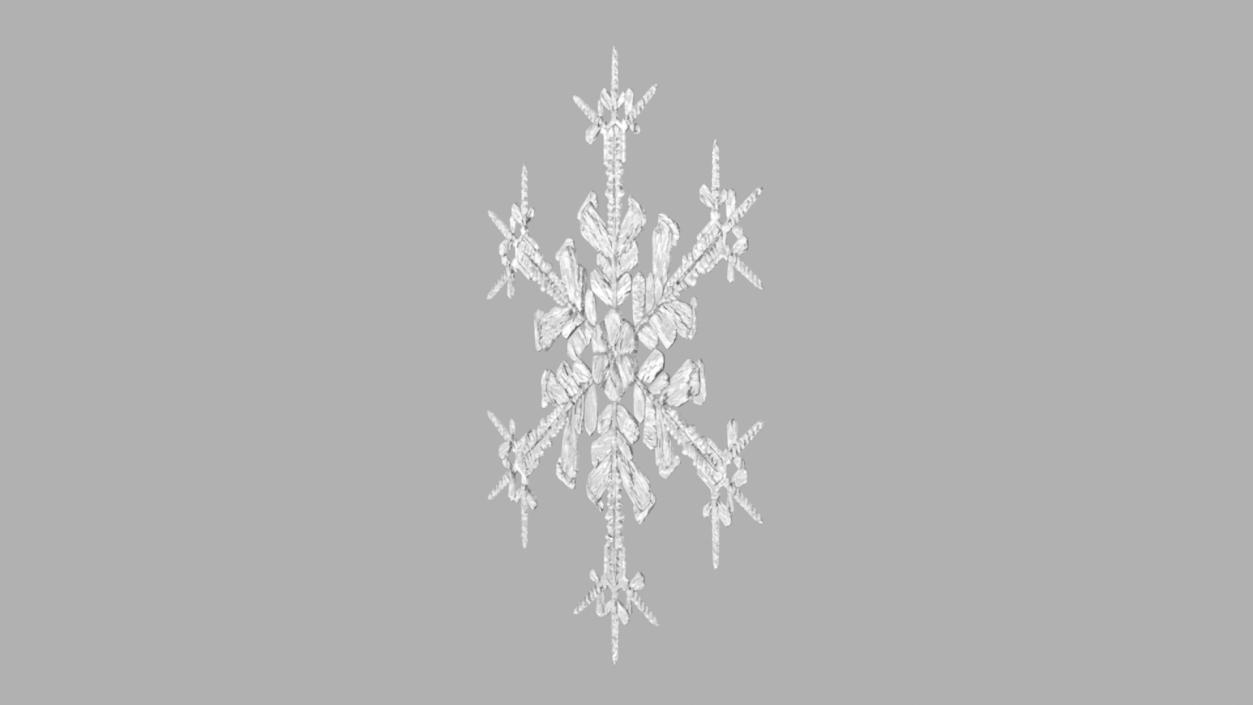 Intricate Snowflake 3D model