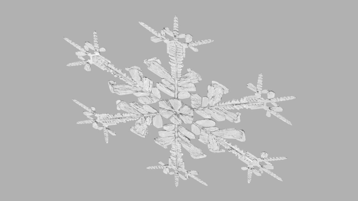 Intricate Snowflake 3D model