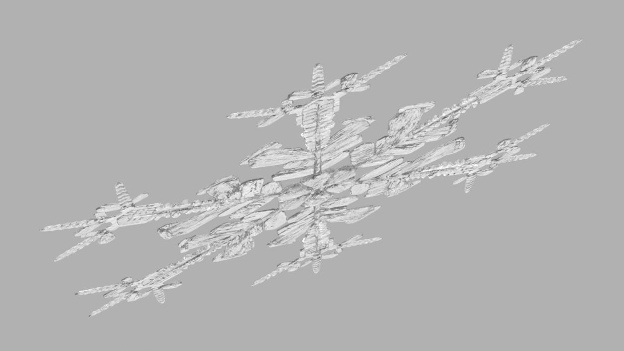 Intricate Snowflake 3D model