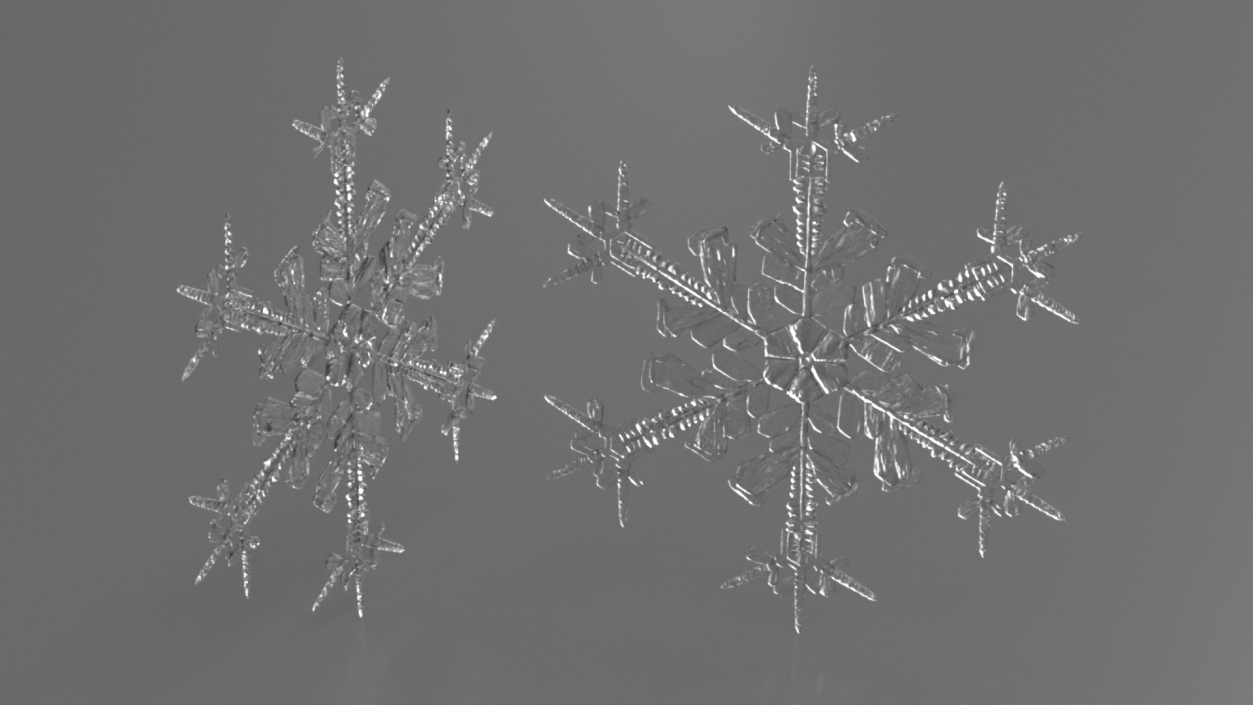 Intricate Snowflake 3D model