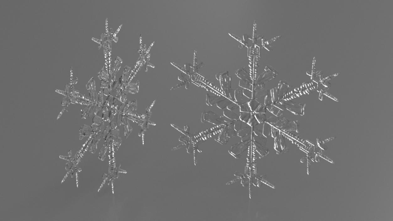 Intricate Snowflake 3D model