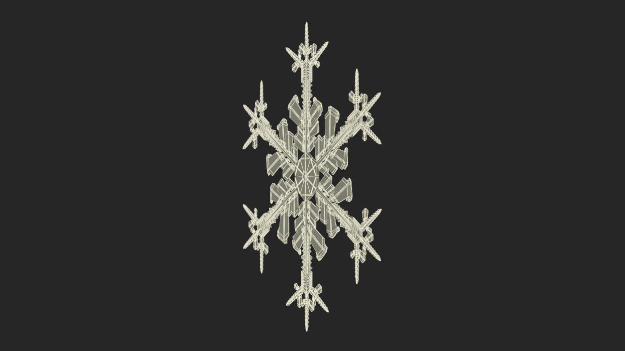 Intricate Snowflake 3D model