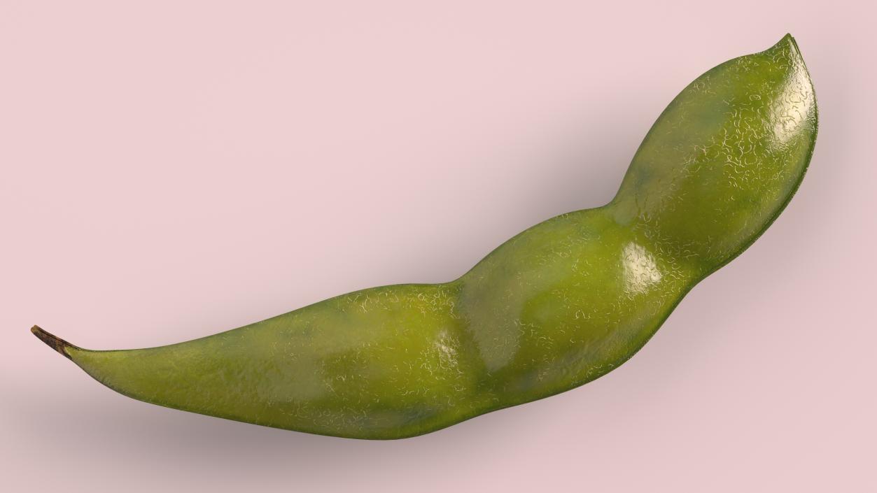 Closed Green Soybean Pod 3D model