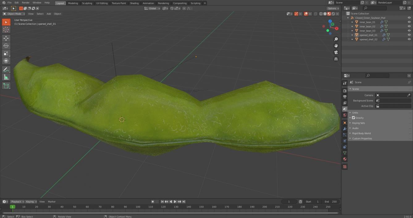 Closed Green Soybean Pod 3D model