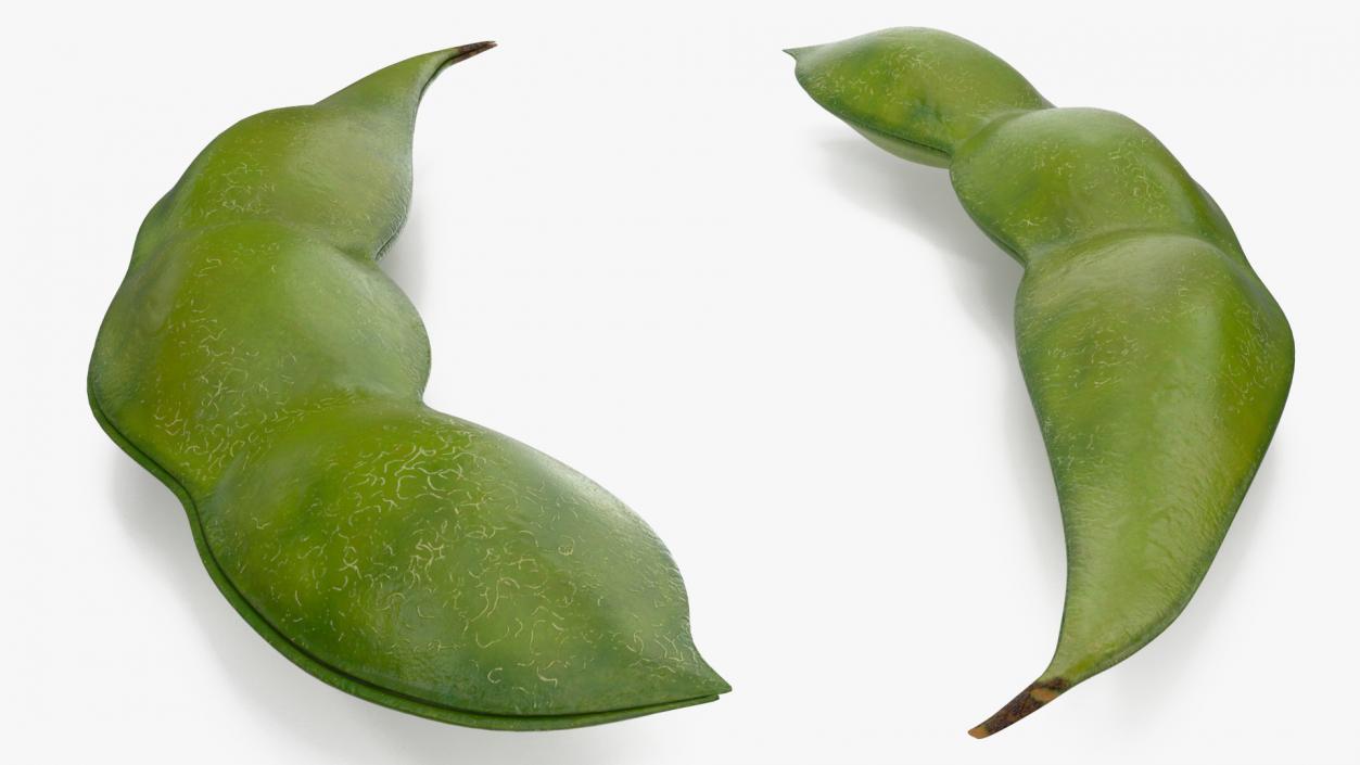 Closed Green Soybean Pod 3D model