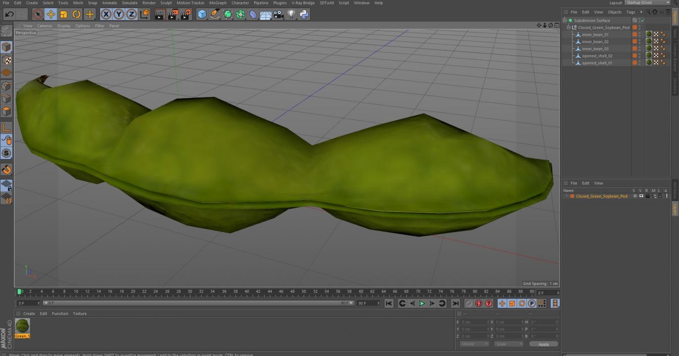 Closed Green Soybean Pod 3D model