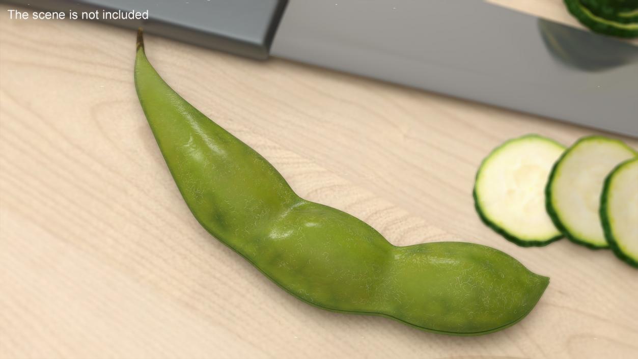 Closed Green Soybean Pod 3D model