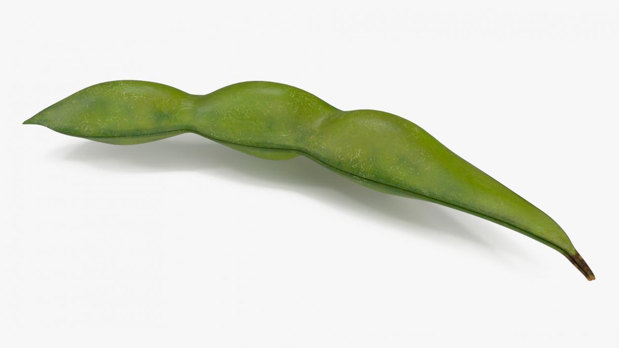 Closed Green Soybean Pod 3D model