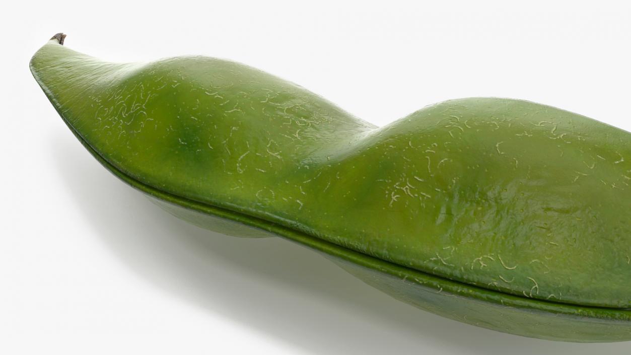 Closed Green Soybean Pod 3D model