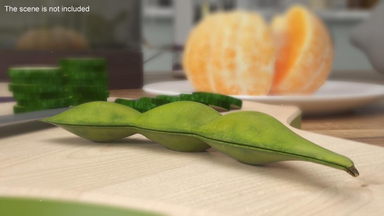 Closed Green Soybean Pod 3D model