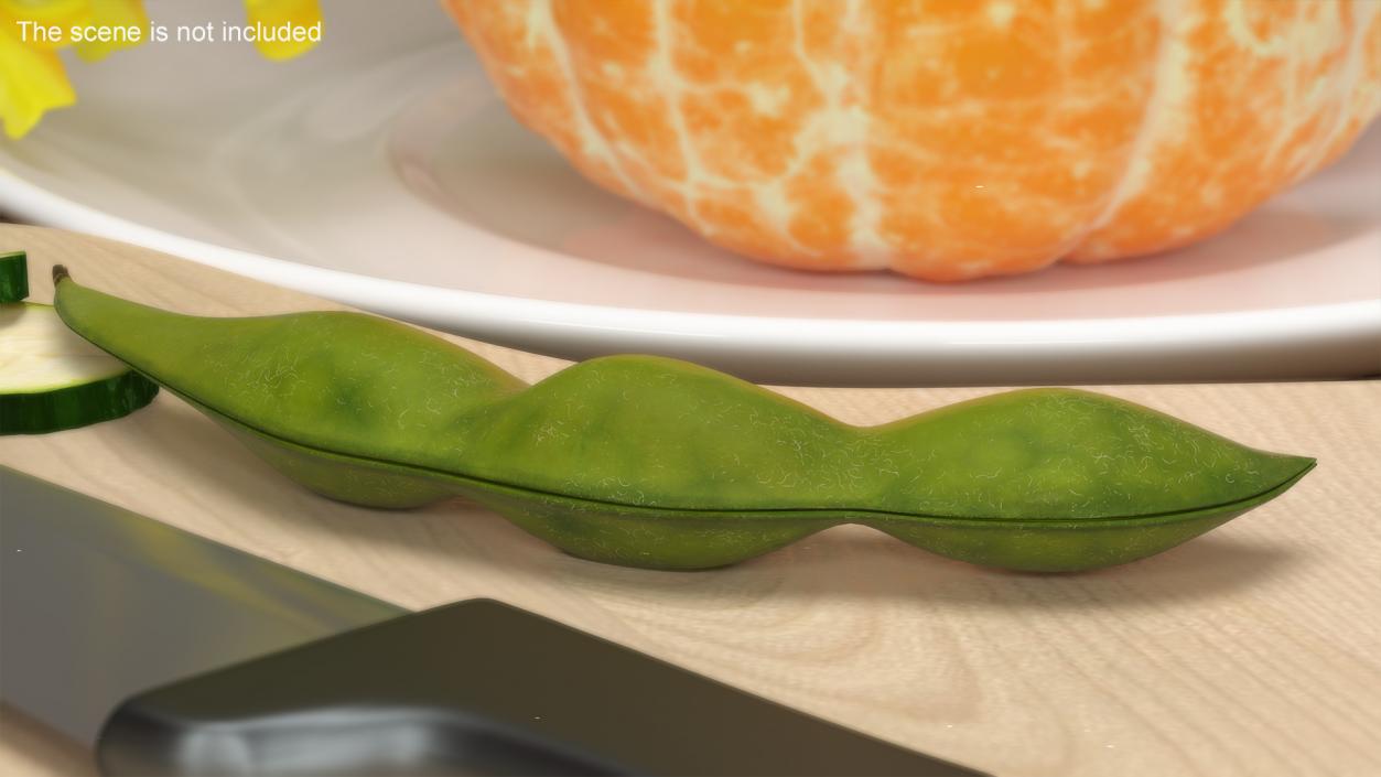 Closed Green Soybean Pod 3D model