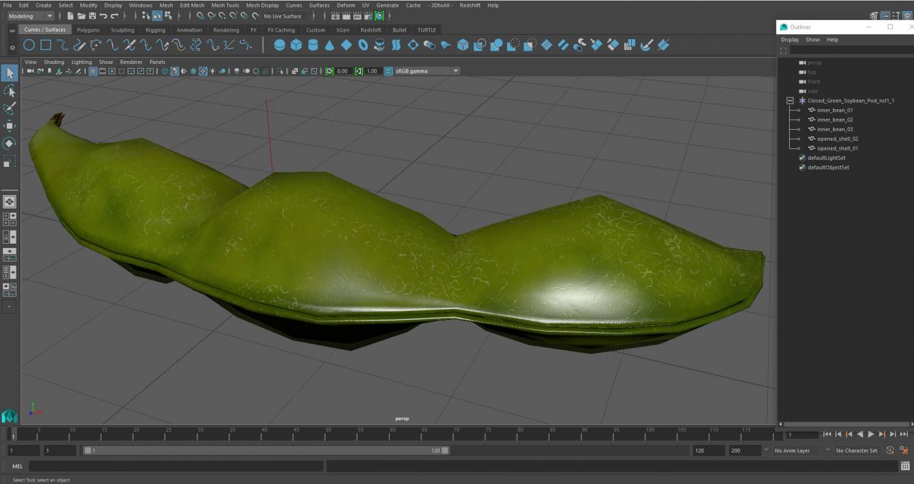 Closed Green Soybean Pod 3D model