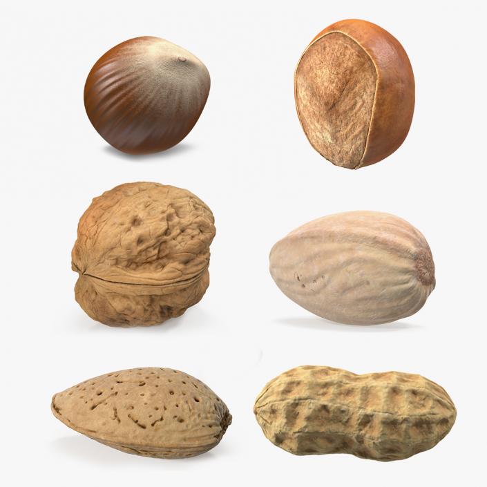 Nuts Collection 7 3D