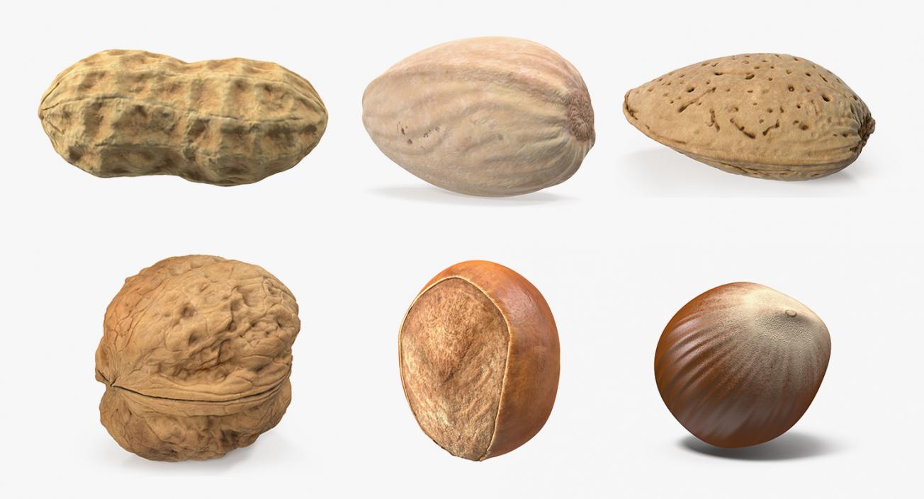 Nuts Collection 7 3D