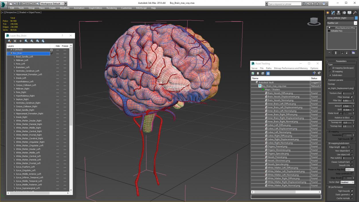 Boy Brain 3D model