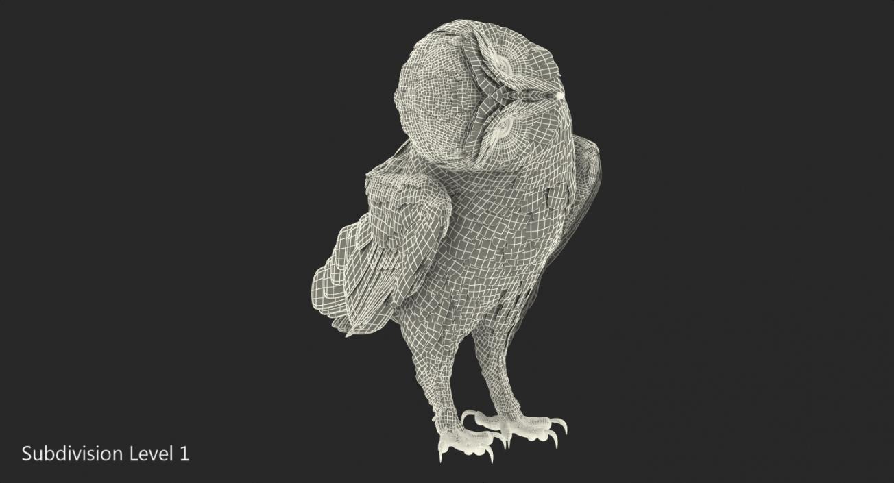 3D model Barn Owl