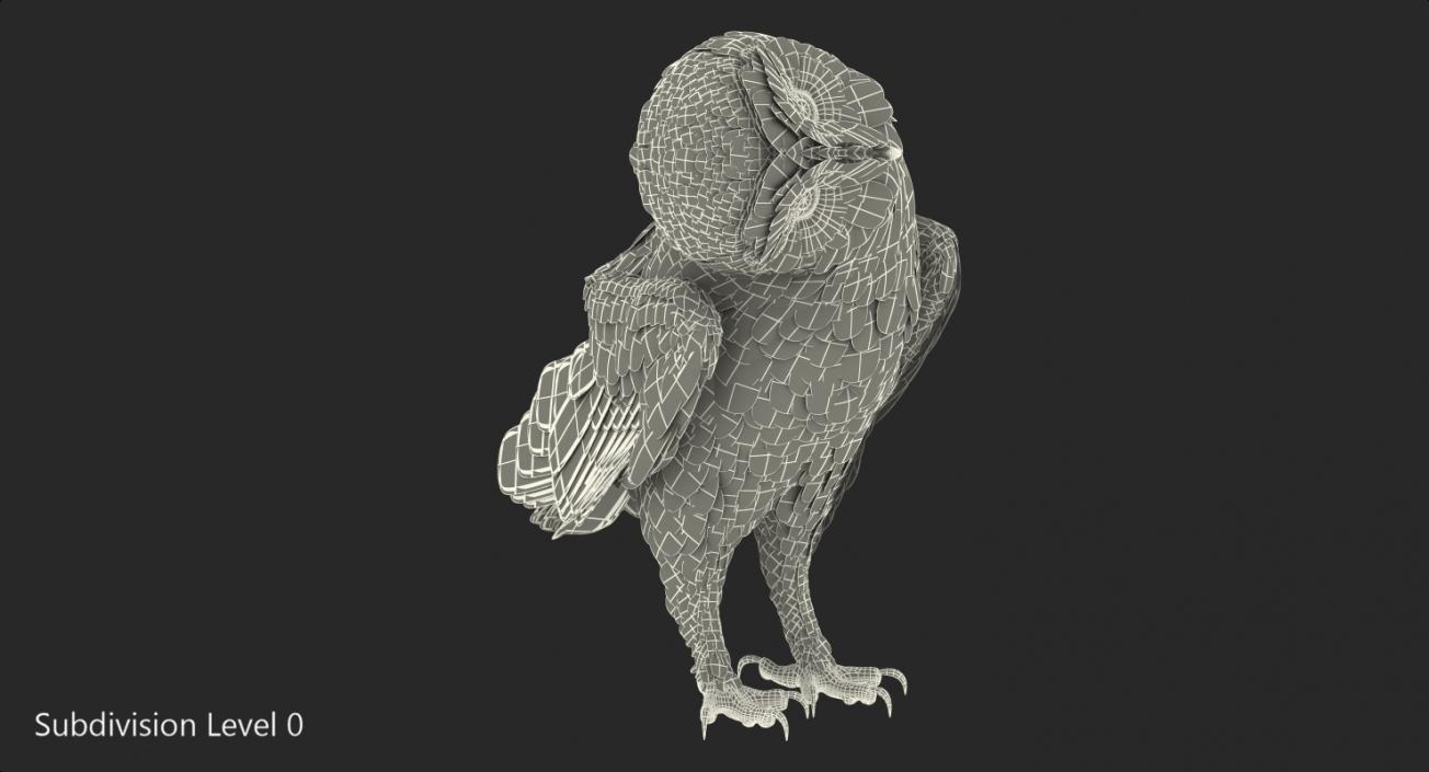 3D model Barn Owl