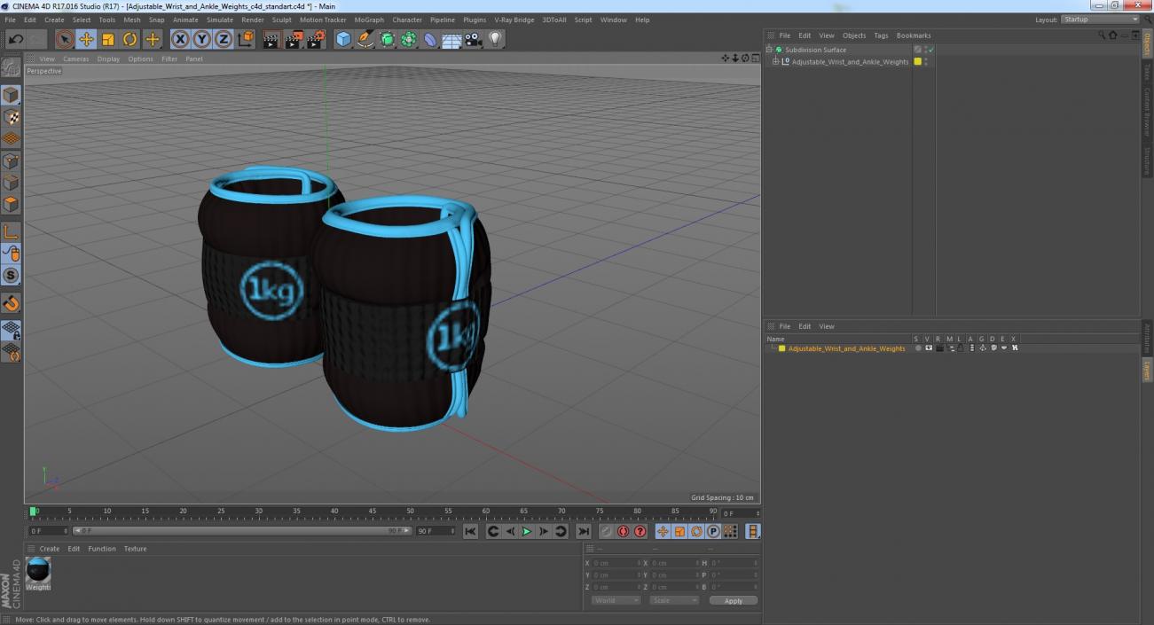 Adjustable Wrist and Ankle Weights 3D model