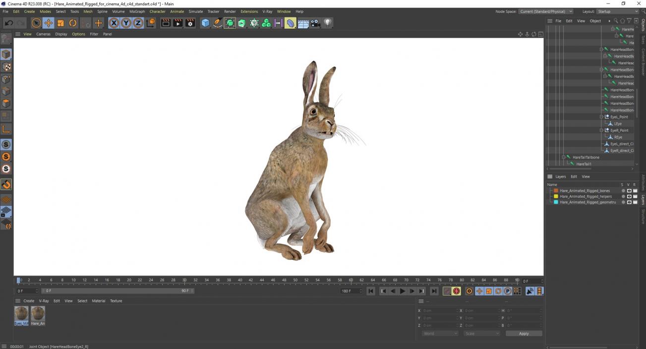 3D model Hare  Animated Rigged for Cinema 4D