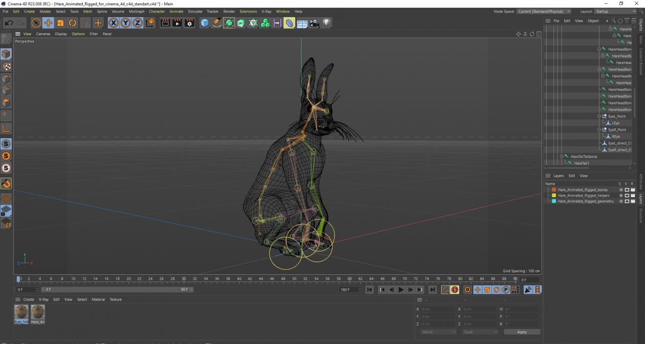 3D model Hare  Animated Rigged for Cinema 4D