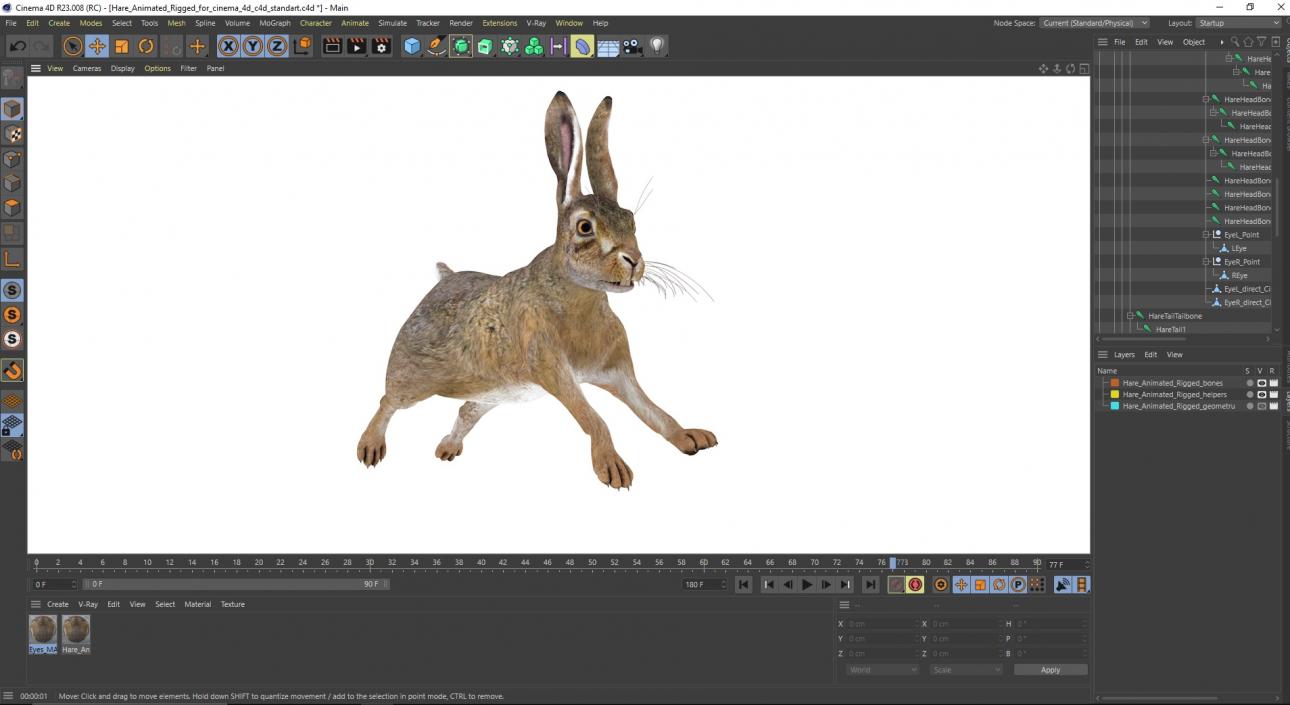 3D model Hare  Animated Rigged for Cinema 4D