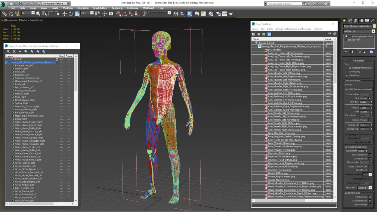 3D Young Man Full Body Anatomy Skinless