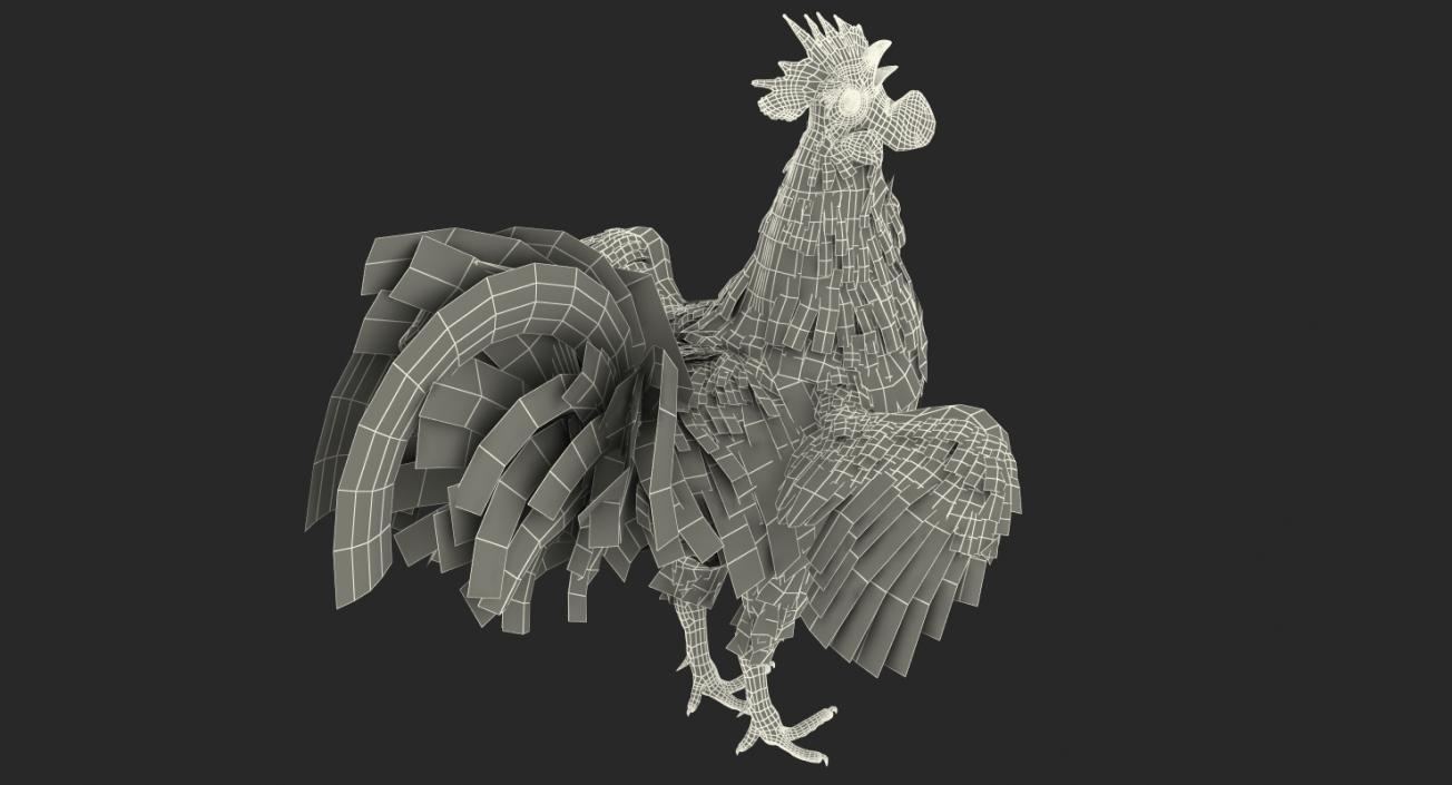 3D model Cock Crows