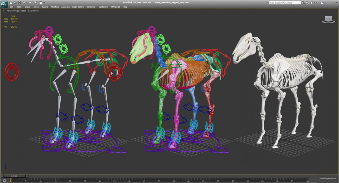 3D Horse Skeleton Rigged