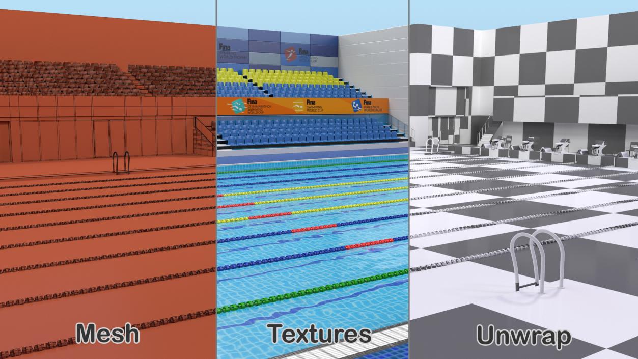 3D Olympic Swimming Pool FINA Standards