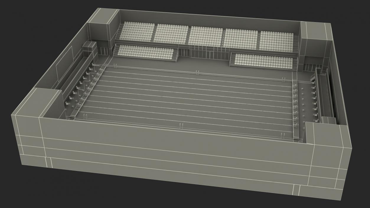 3D Olympic Swimming Pool FINA Standards