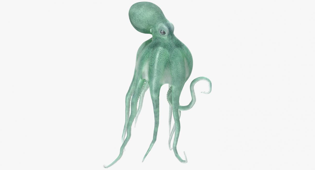 3D model Blue Octopus Swiming Pose