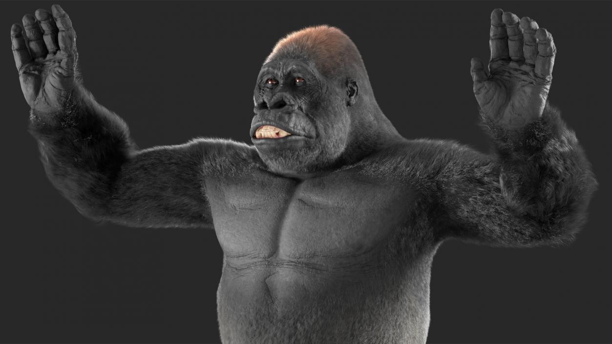 3D Gorilla Fur Rigged model