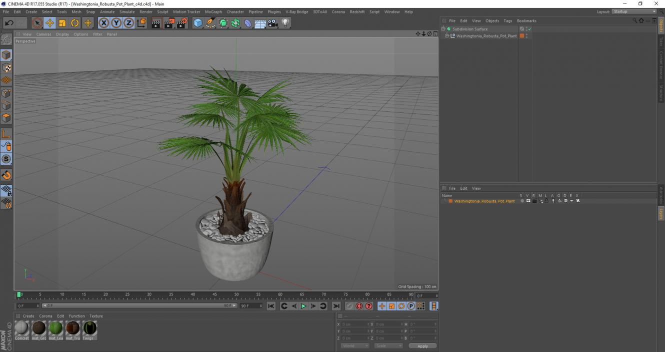 3D model Washingtonia Robusta Pot Plant