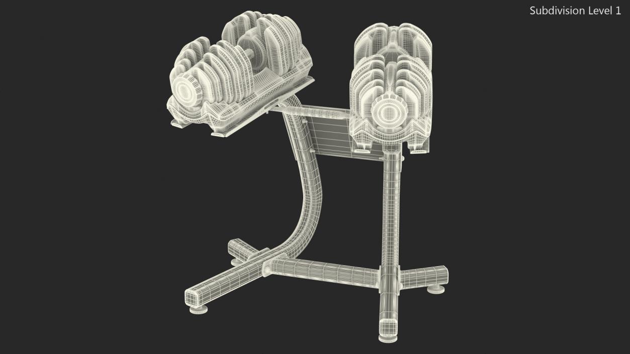 Fast Adjusting Dial Dumbbell with Rack Set 3D