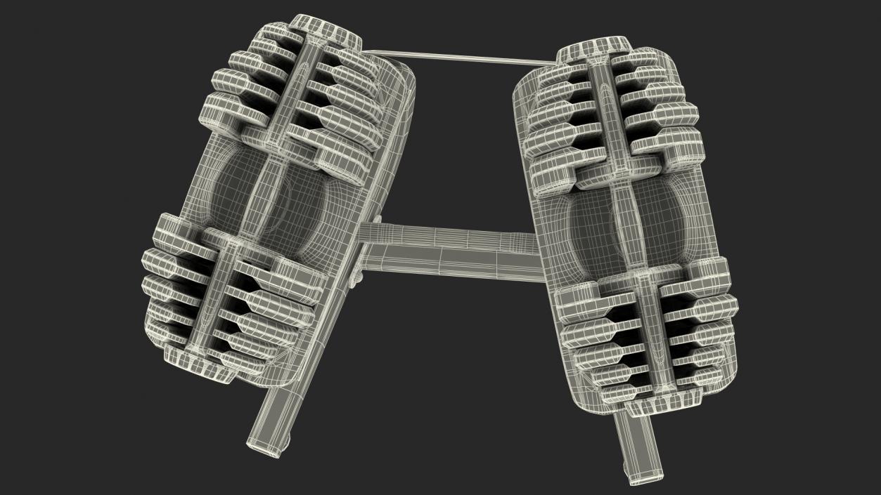 Fast Adjusting Dial Dumbbell with Rack Set 3D