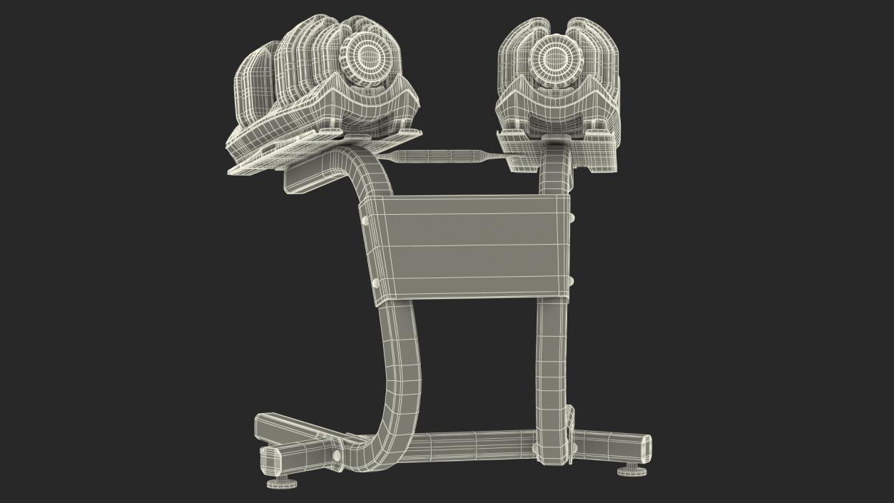 Fast Adjusting Dial Dumbbell with Rack Set 3D