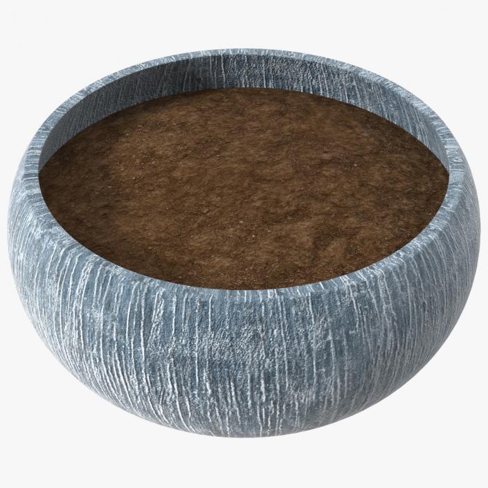 3D model Round Vase with Soil