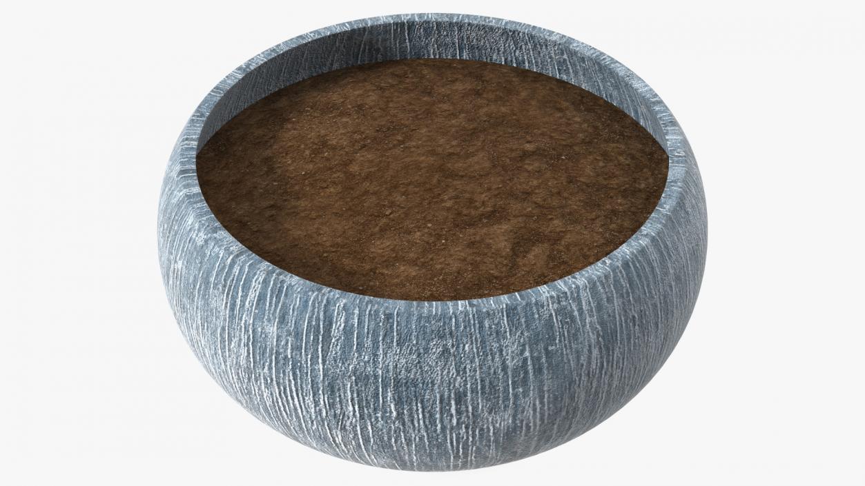 3D model Round Vase with Soil